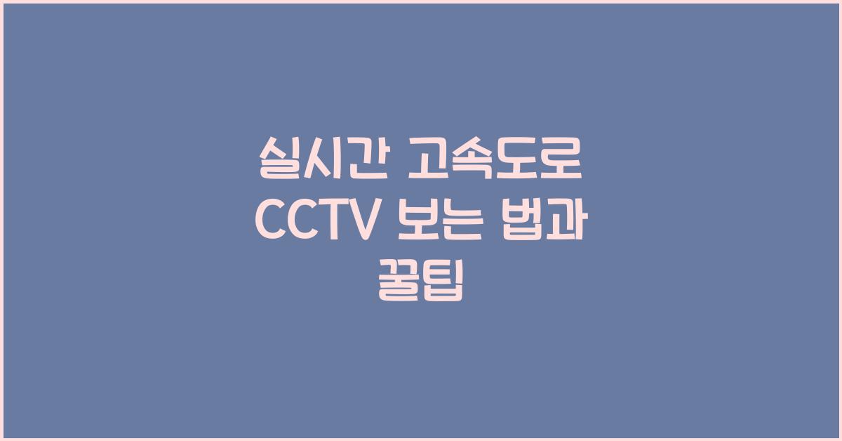 실시간 고속도로 cctv 보는 법