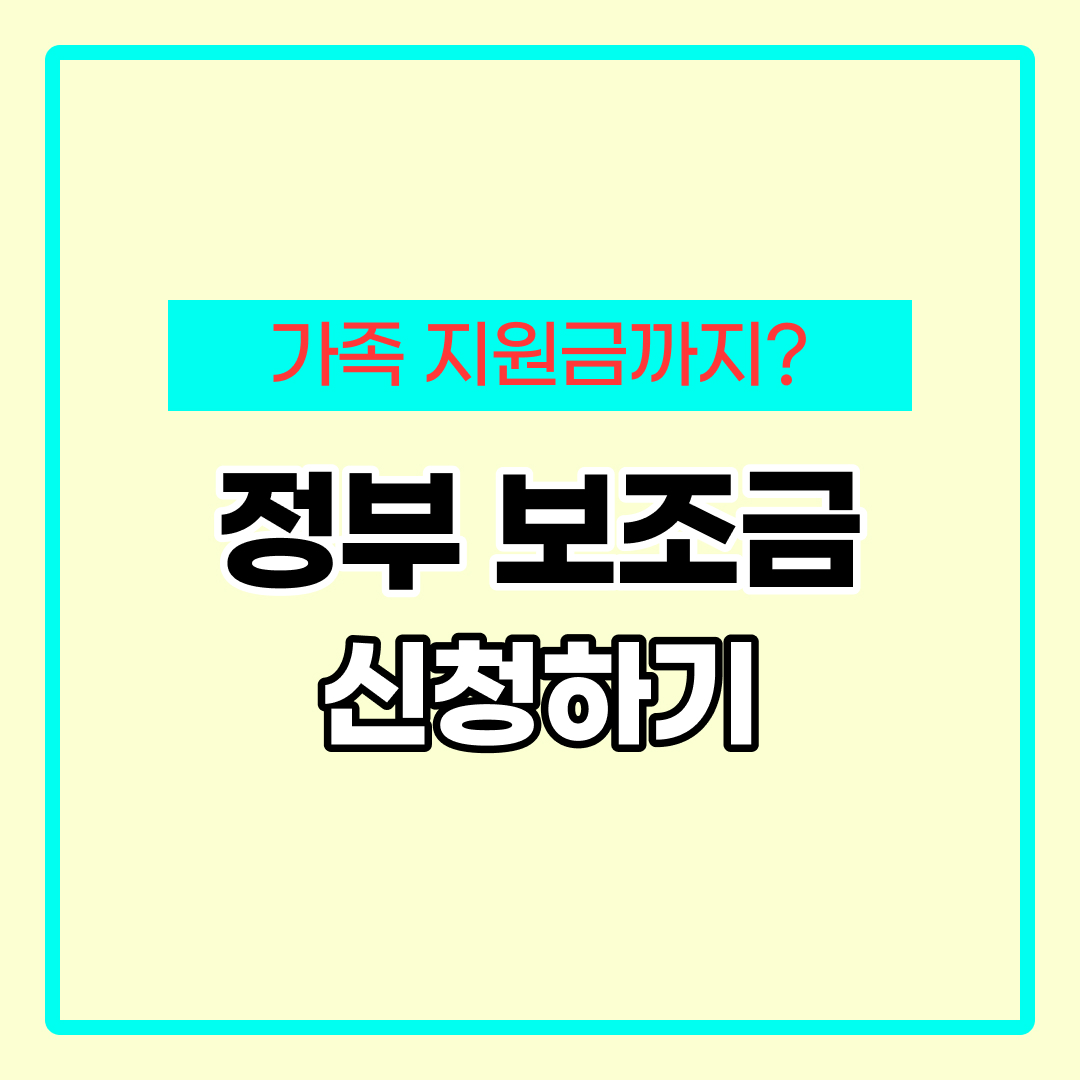 정부 보조금 종류