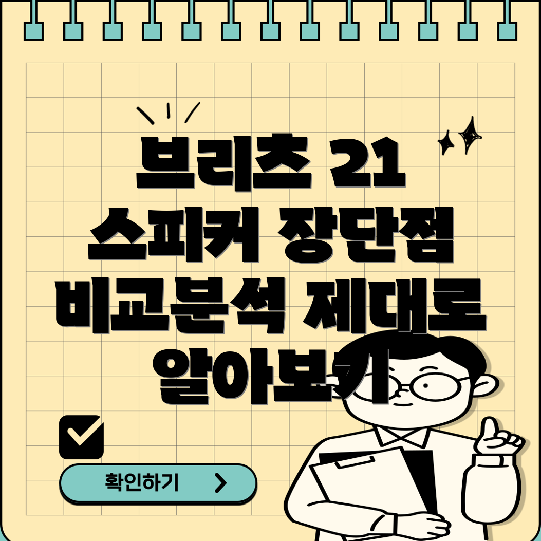 브리츠21스피커제대로알고선택하세요기능가격장단점비교분석