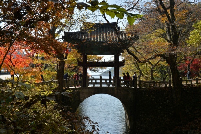 전남 구례 산수유꽃 축제