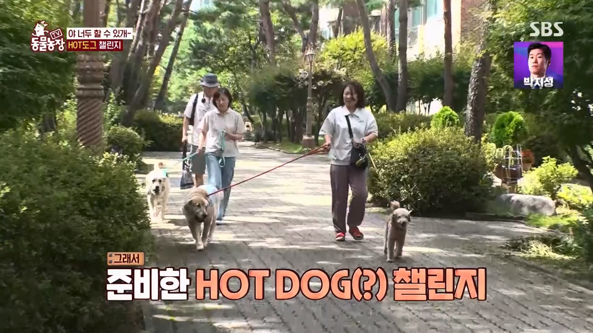 TV 동물농장.E1139.230924p.H264-F1RST.mp4_20230924_172325.433.jpg
