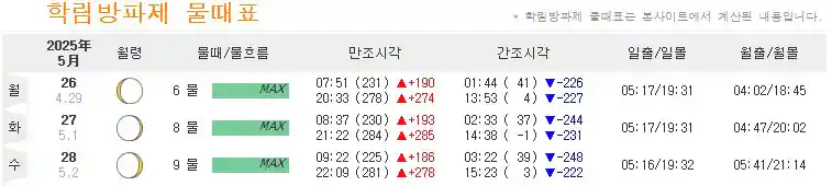 학림도 물때