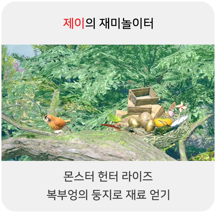  몬스터 헌터 라이즈 - 복부엉의 둥지로 재료 수급