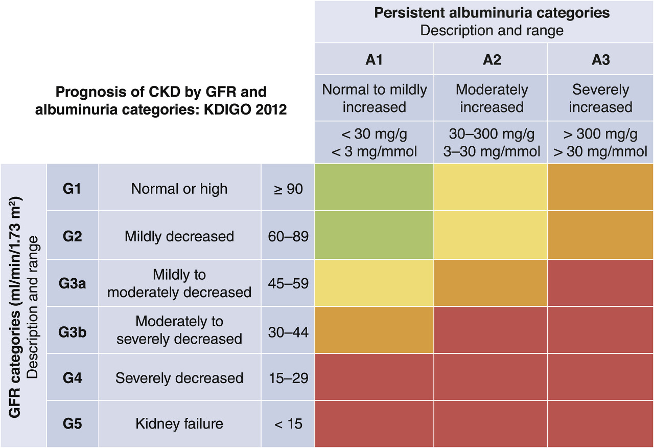 Albumin To Creatinine Ratio ACR albumin-to-creatinine-ratio-acr