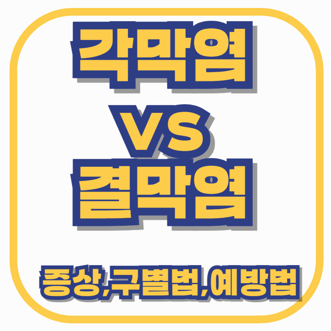 각막염 vs 결막염 차이점 총정리 – 증상, 구별법, 예방법