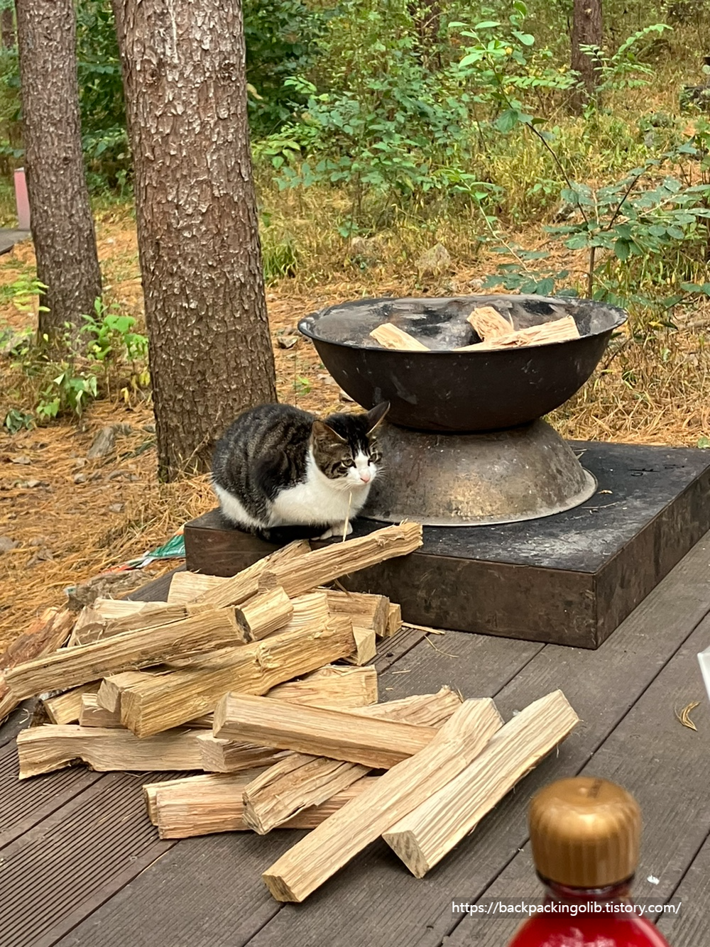 화로 무료 대여함