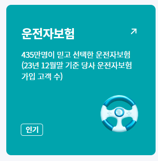 DB손해보험 자동차보험