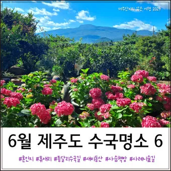 6월 제주도 가볼만한곳 10선 숨은 명소 맛집 코스_16