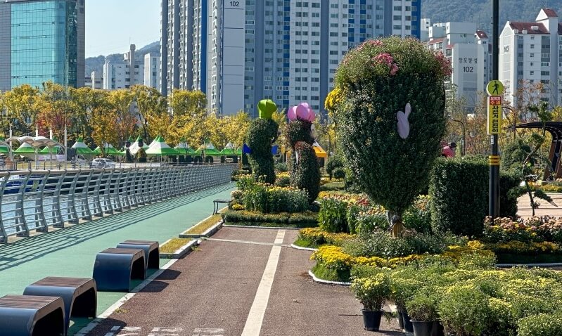 마산국화축제-일정-주차정보