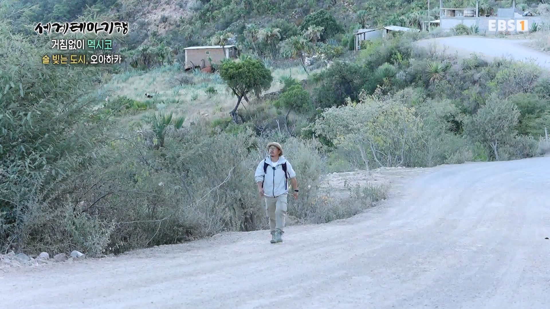 세계테마기행 240110 거침없이 멕시코 -맵다 매워 삐까삐까, 오아하카0p.mp4_20240713_163410.058.jpg