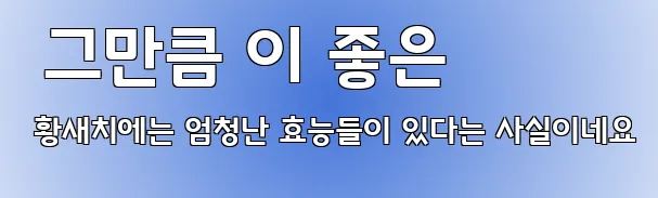  그만큼 이 좋은 황새치에는 엄청난 효능들이 있다는 사실이네요