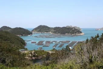 다물도 홍어 보건진료소 교회_24