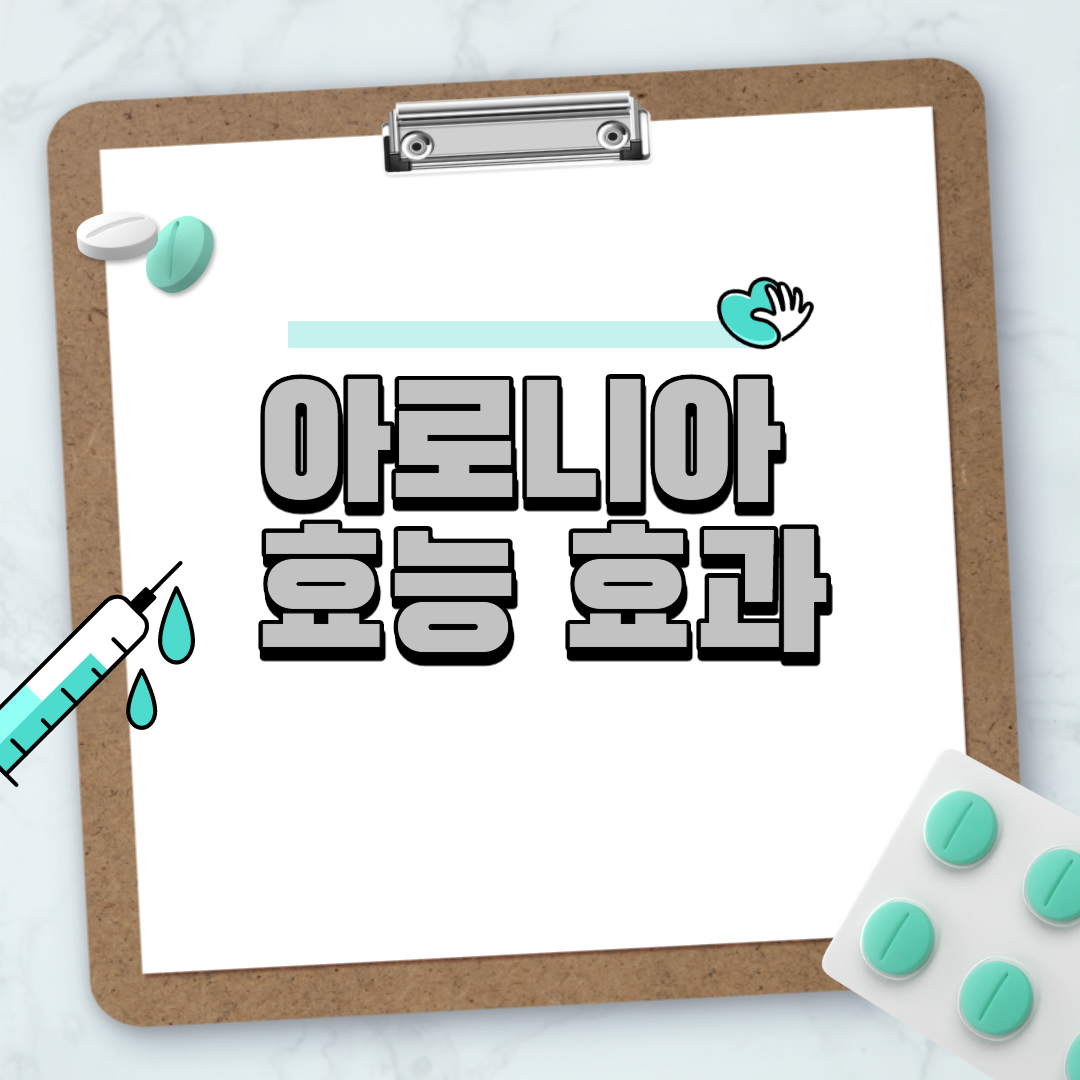  아로니아 효능 효과 부작용