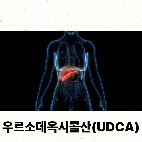 간건강