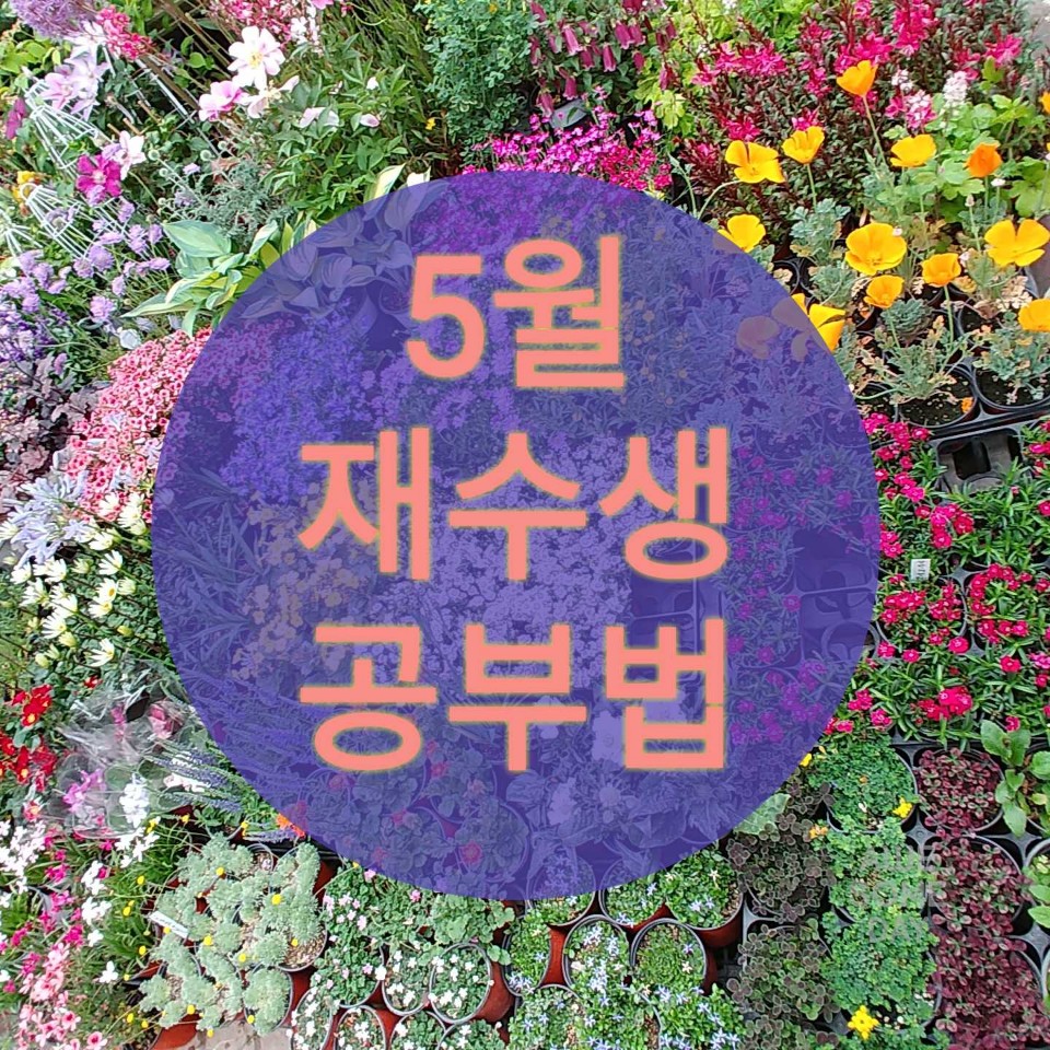  5월,  성공하는 재수생 공부법