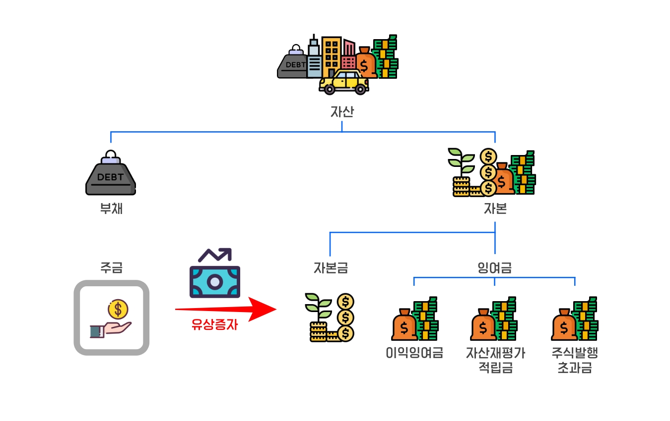 제일 위에 자산, 아래로 부채와 자본이 있다. 자본에는 자본금과 잉여금이 있는데, 자본금쪽으로 주금이 들어가는 그림