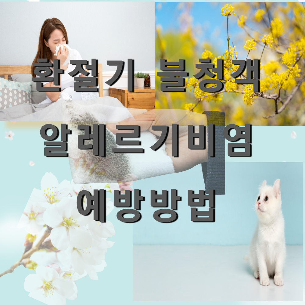  환절기 주의! 알레르기 비염과 감기를 구분하여 예방하는 방법