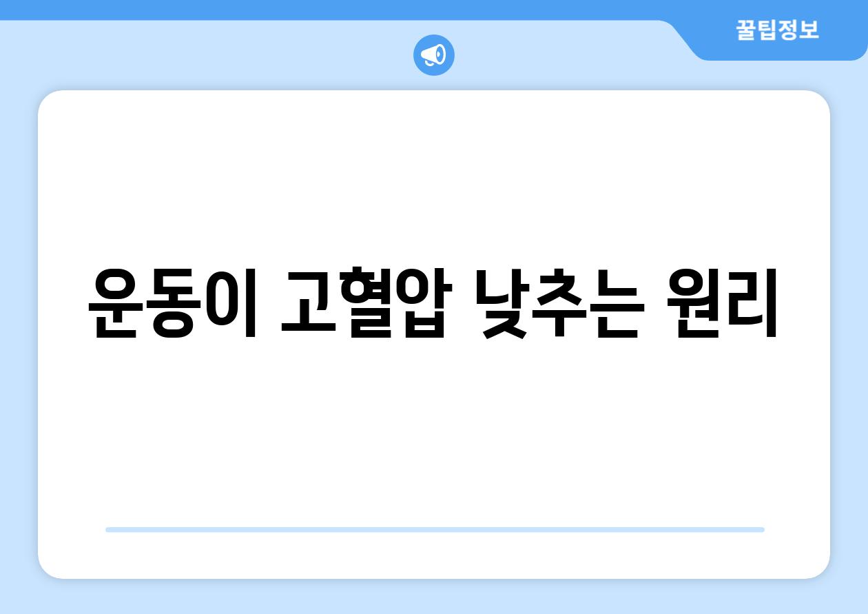 운동이 고혈압 낮추는 원리