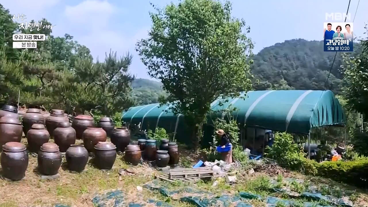 나는 자연인이다.E609.240613p-NEXT.mp4_20240613_195109.321.jpg
