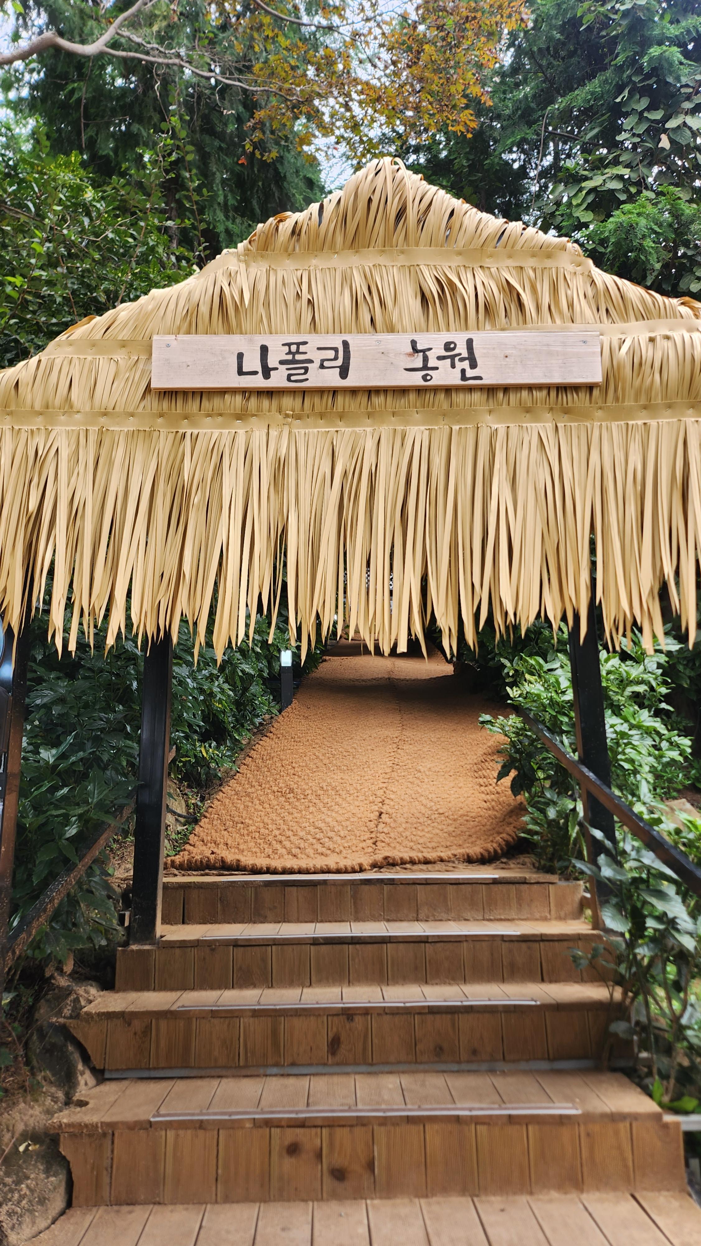  [통영여행&놀거리] 힐링 쉼터 '나폴리농원' 내돈내산 솔직 후기