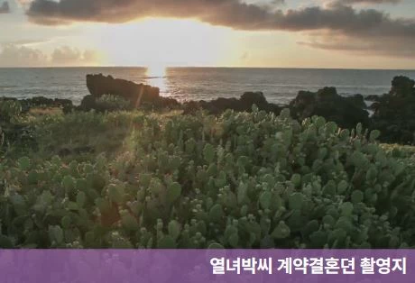 열녀박씨 계약결혼뎐 촬영지 제주 월령리 선인장군락