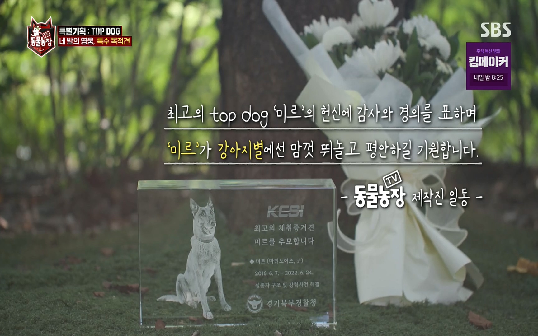 TV 동물농장.E1086.220911p.H264-F1RST.mp4_20220911_175232.292.jpg