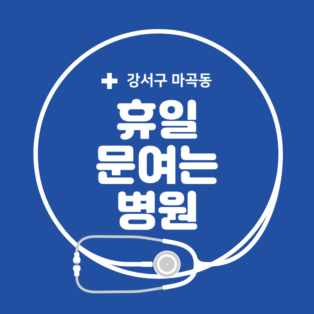 서울 강서구 마곡동 일요일 진료 휴일 문 여는 병원