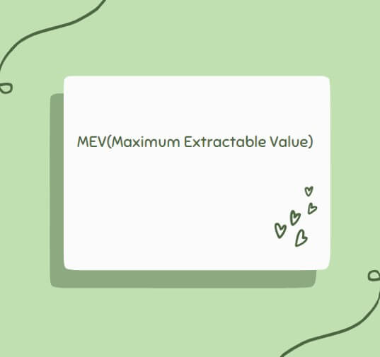 MEV의 개괄적 설명