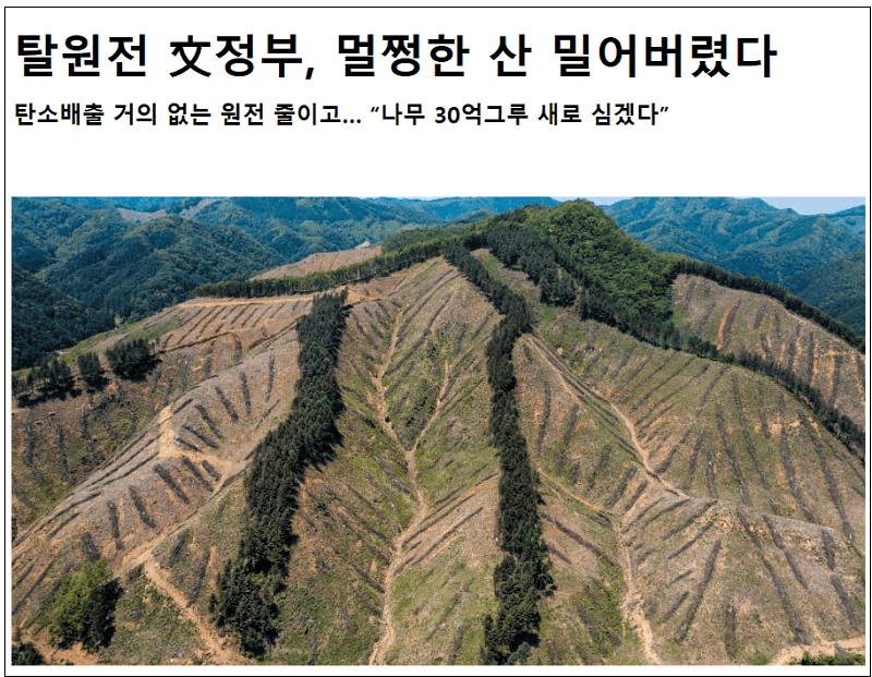  탈원전 멀쩡한 산 뭉개버린 정부...소관부처 산림청은 조림 확대 발표..???