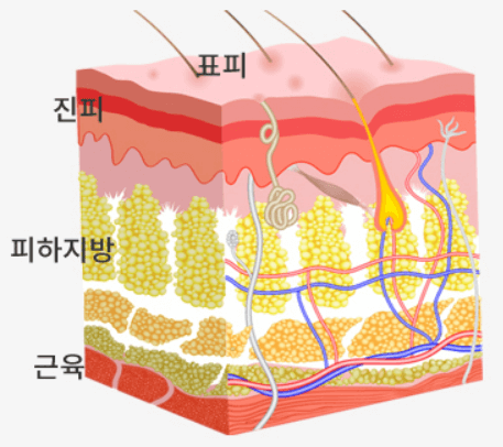  땀복을 입어도 살이 빠지지 않는 이유