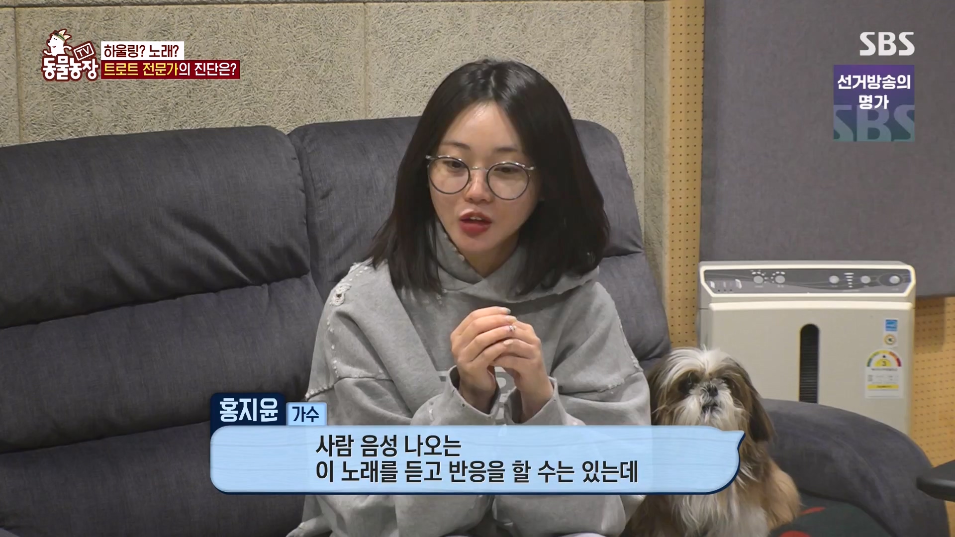 TV 동물농장.E1166.240407p-NEXT.mp4_20240407_164503.397.jpg