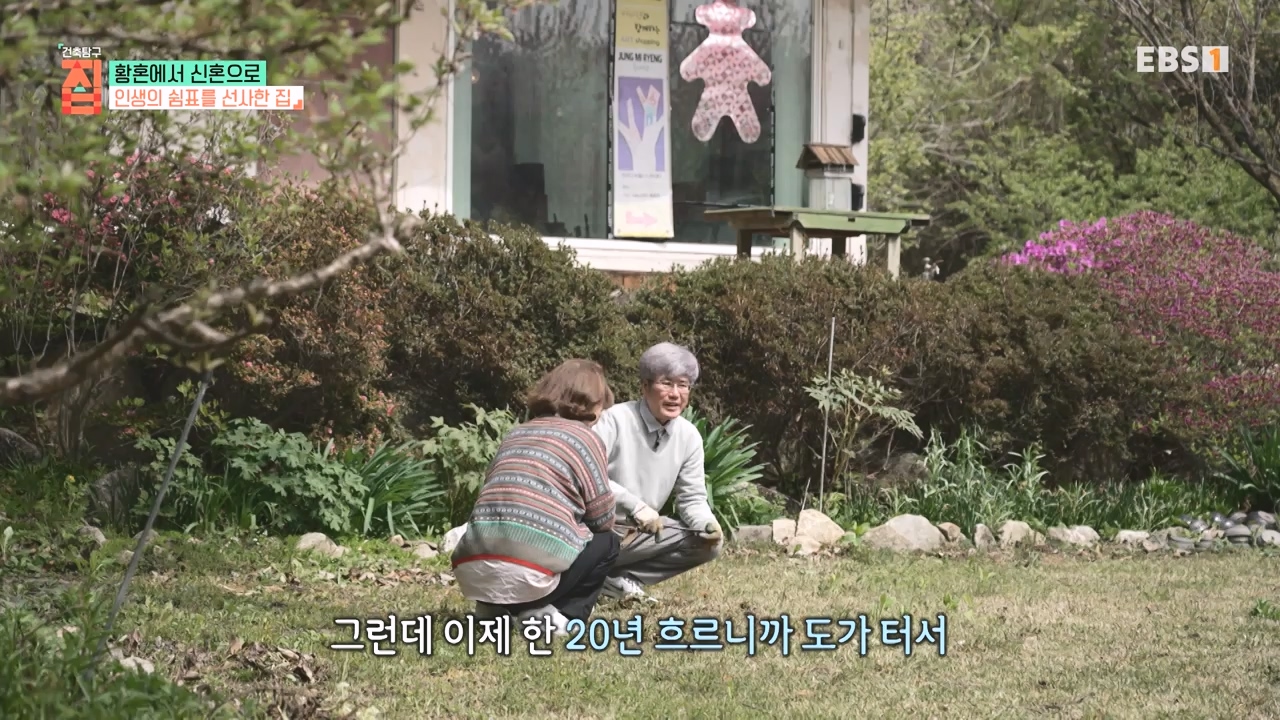 TV - 전 국민의 평생학교 EBS황혼에서 신혼으로, 부부애를 꽃 피우는 집.mp4_20231011_202438.772.jpg
