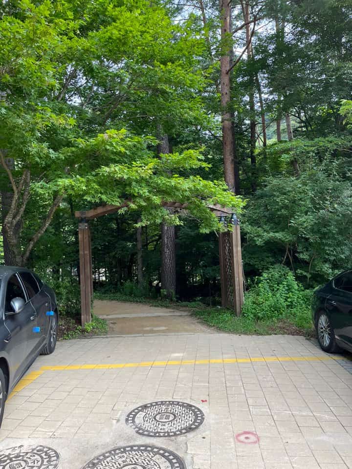 월정사 전나무 숲길 입구