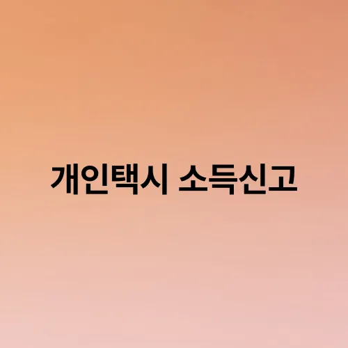 개인택시 소득신고