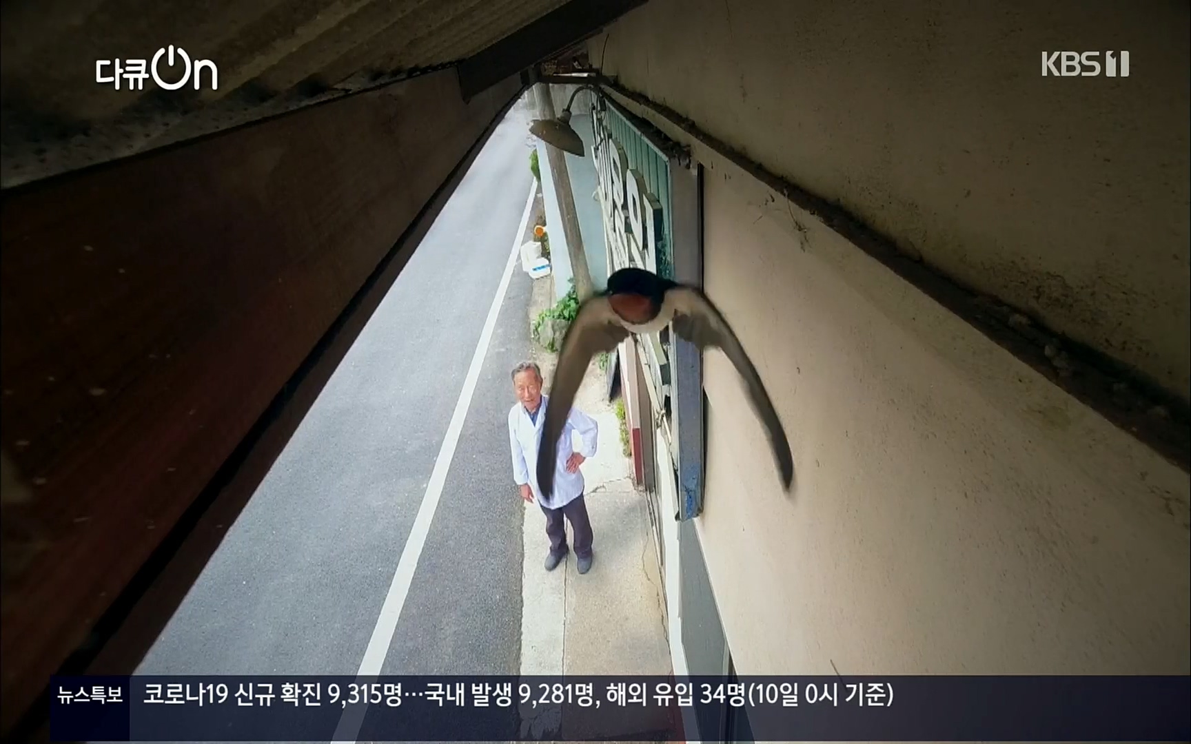 다큐 On.E143.220610p.H264-F1RST.mp4_20220613_200540.377.jpg