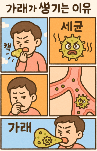 가래가 생기는 이유