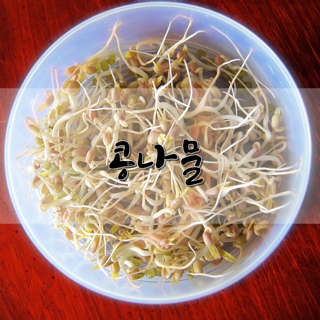  콩나물의 영양, 효능, 고르는 방법 등