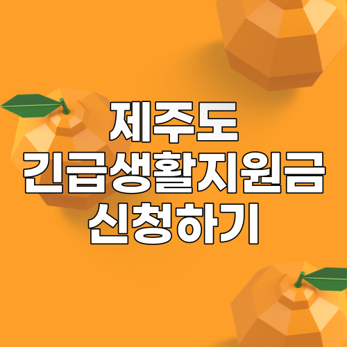  제주특별자치도 재난긴급생활지원금 신청하기