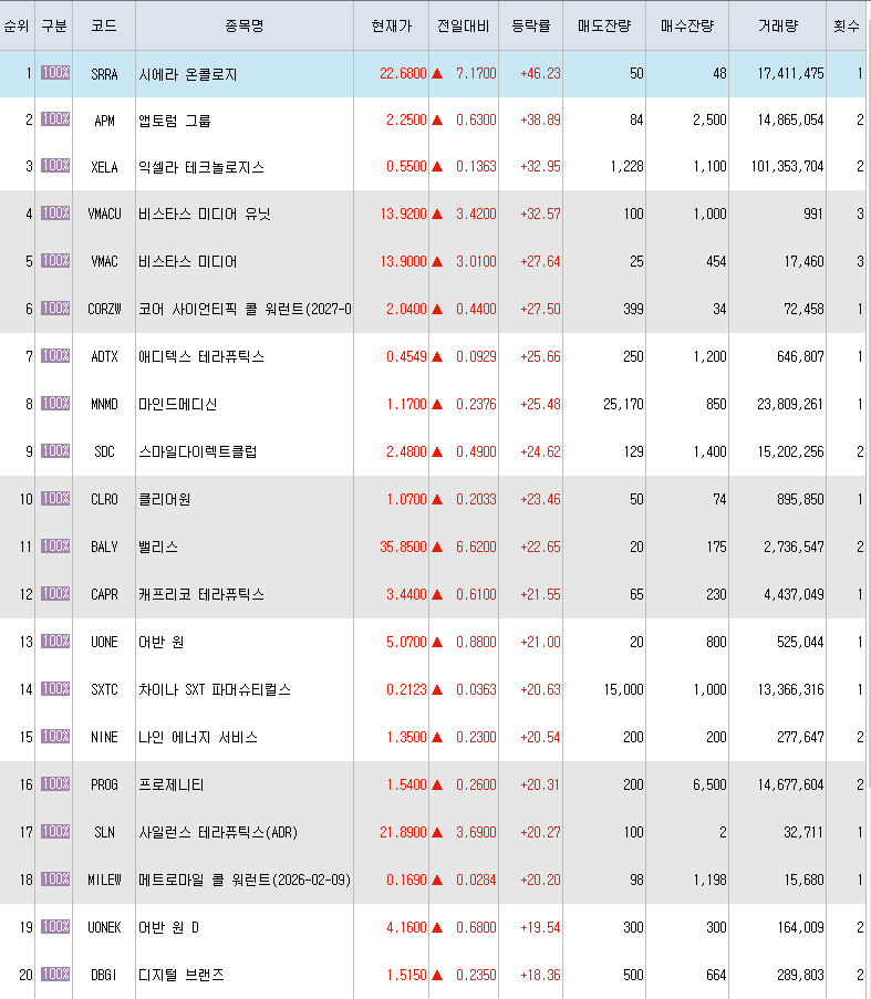  1월25일 미국주식 상승률 상위 종목 TOP 300