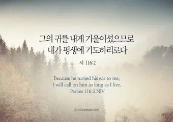 시편 23장 1절 읽기 - 여호와는 나의 목자시니 내게 부족함이 없으리로다_4