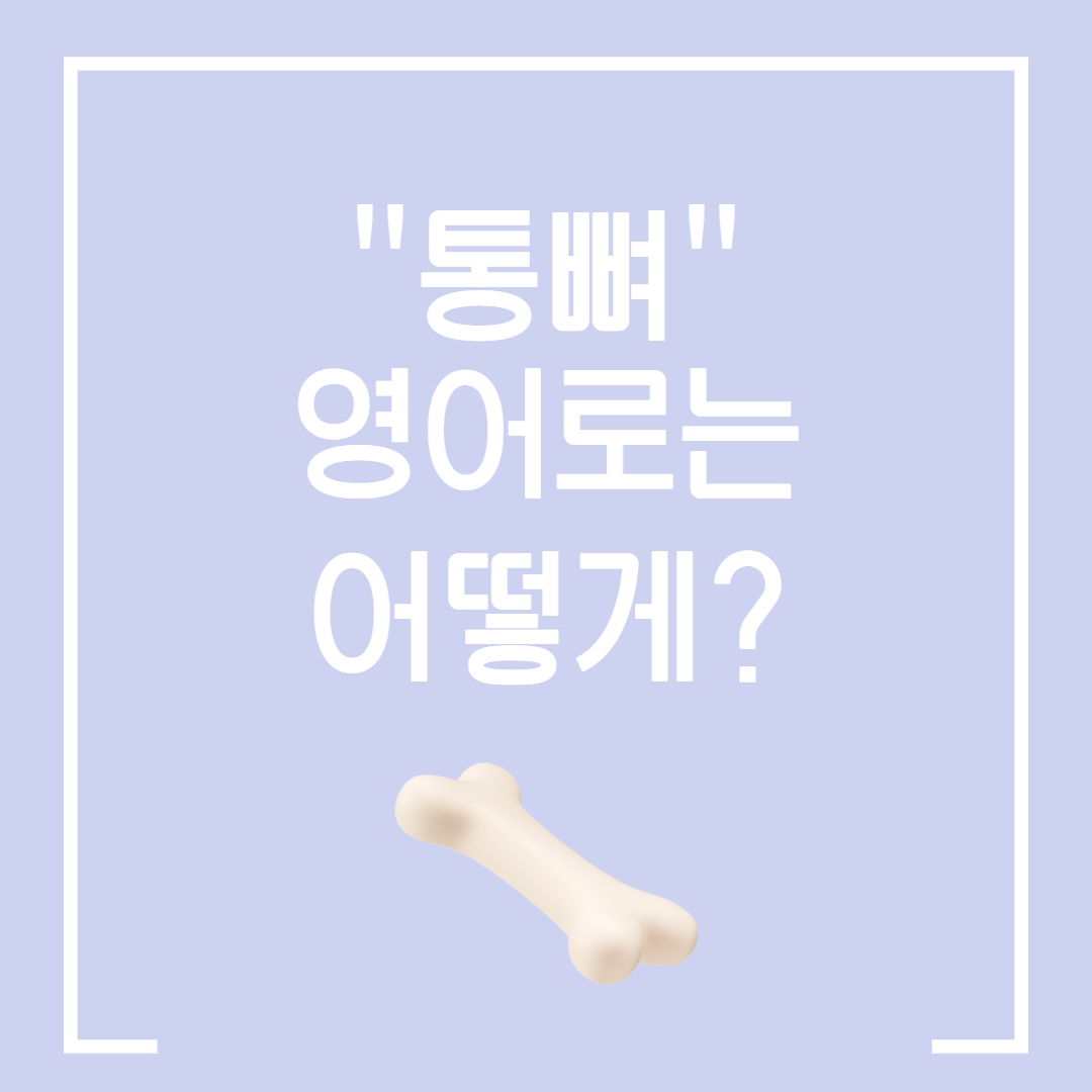  나는 통뼈야 / 나는 통뼈다 영어로 어떻게 표현할까?