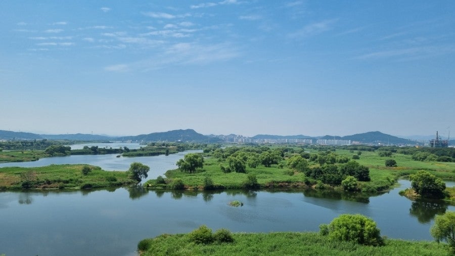 동곡할매국밥 6