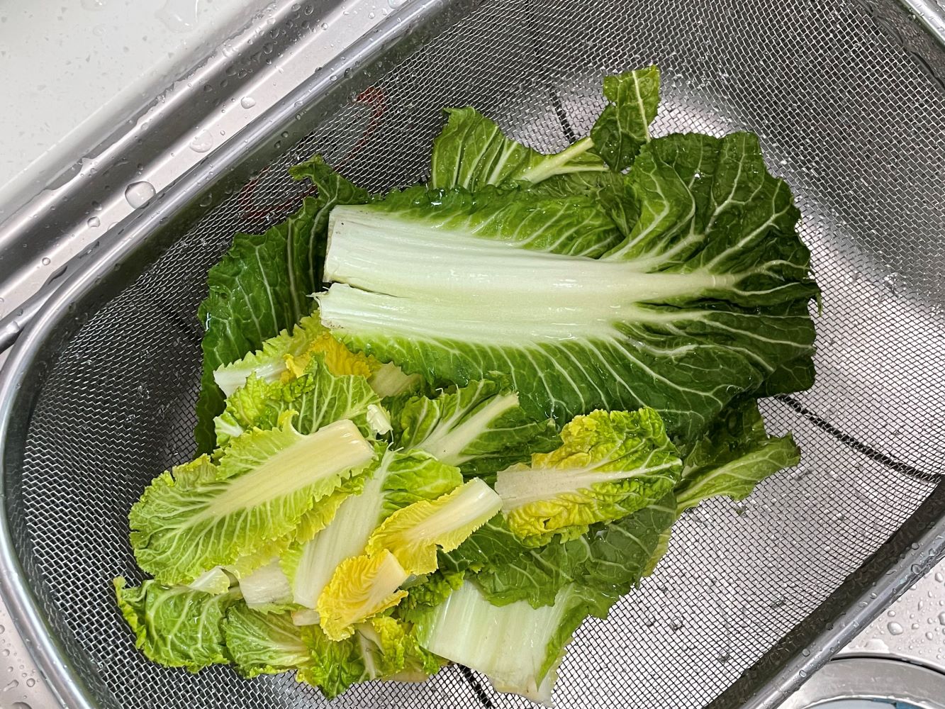 봄동 겉절이
