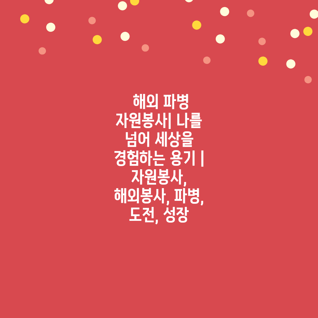  해외 파병 자원봉사 나를 넘어 세상을 경험하는 용기 