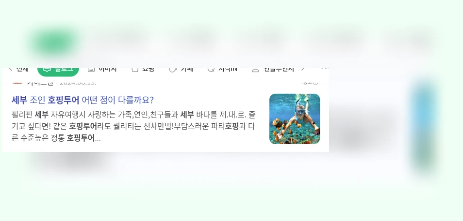 세부 호핑투어_1_subsection