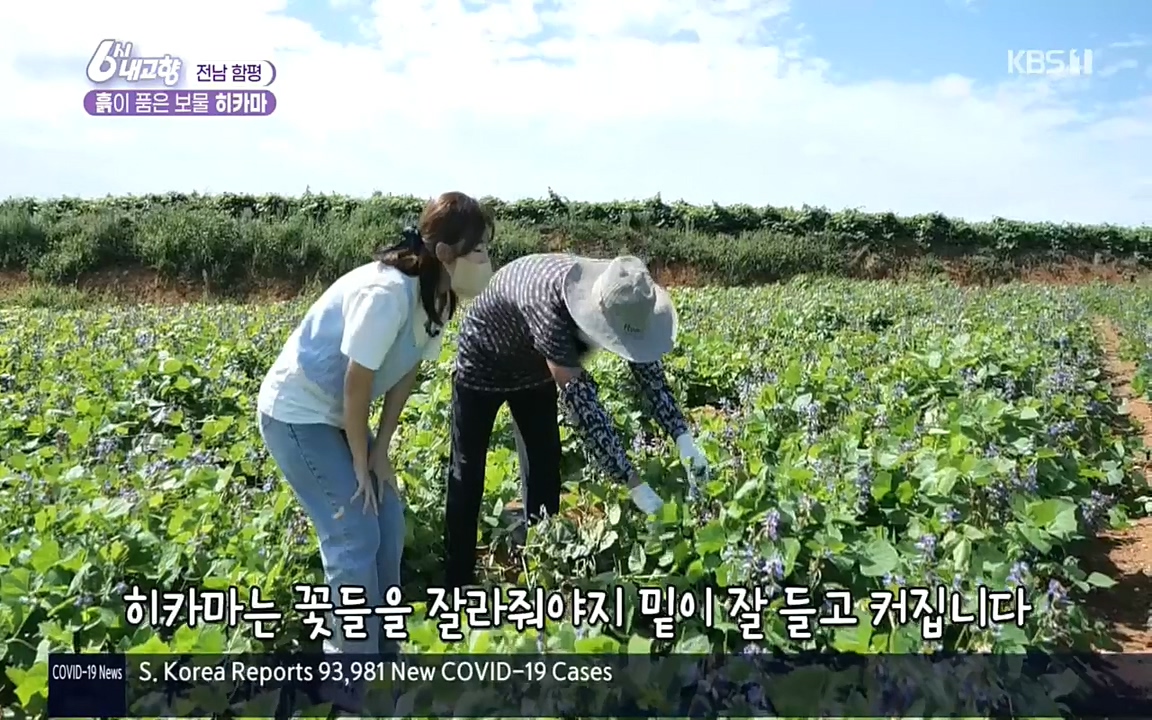 6시 내고향.E7617.220915p.H264-F1RST.mp4_20220916_204612.901.jpg