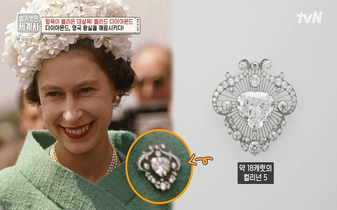 벌거벗은 세계사.E62.220831p-NEXT.mp4_20220905_200143.763.jpg