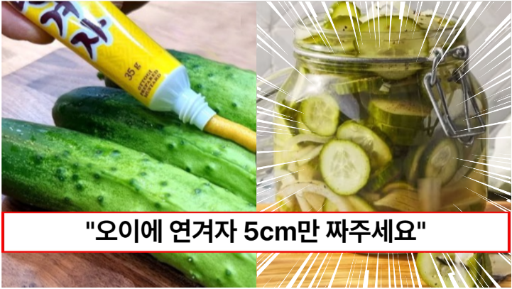 “오이에 연겨자 5cm만 짜보세요” 입안에서 톡톡 터지는 청량감이 일품인 오이절임 만드는 방법 “오이에 연겨자 5cm만 짜보세요” 입안에서 톡톡 터지는 청량감이 일품인 오이절임 만드는 방법