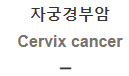  자궁경부암 [Cervix cancer]