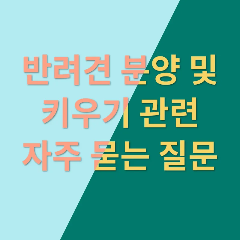 도그마루 반려견 분양_4